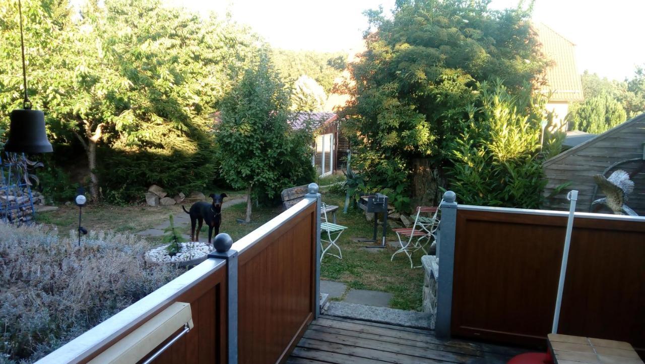 Ferienhaus Schulenberg Villa Friedrichsbrunn Exterior foto